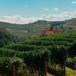 Barolo Cannubi 2018
